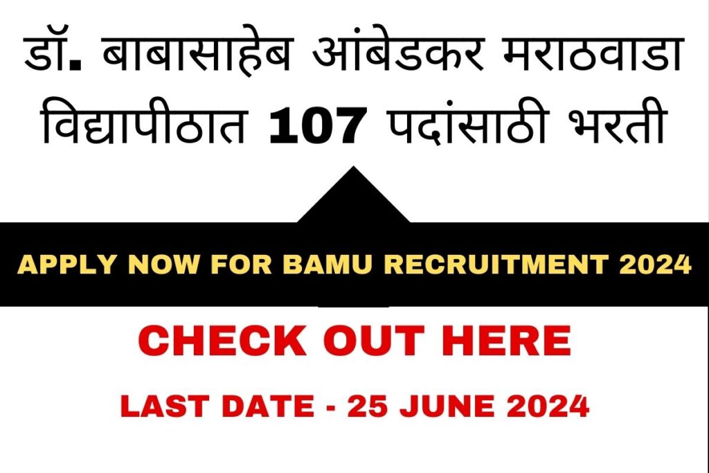 BAMU Recruitment 2024